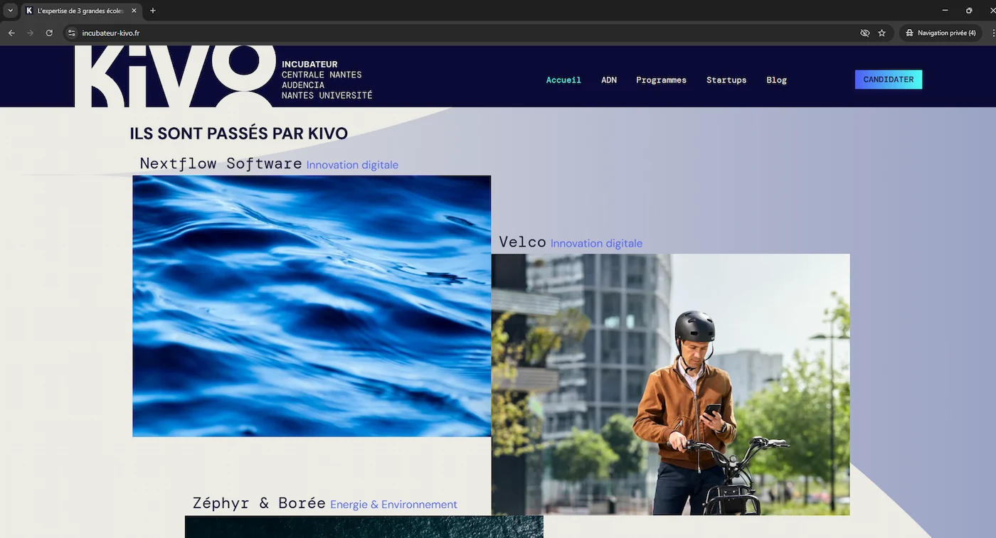 startup dynamique 2